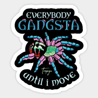 Tarantula Typhochlaena Seladonia Sticker